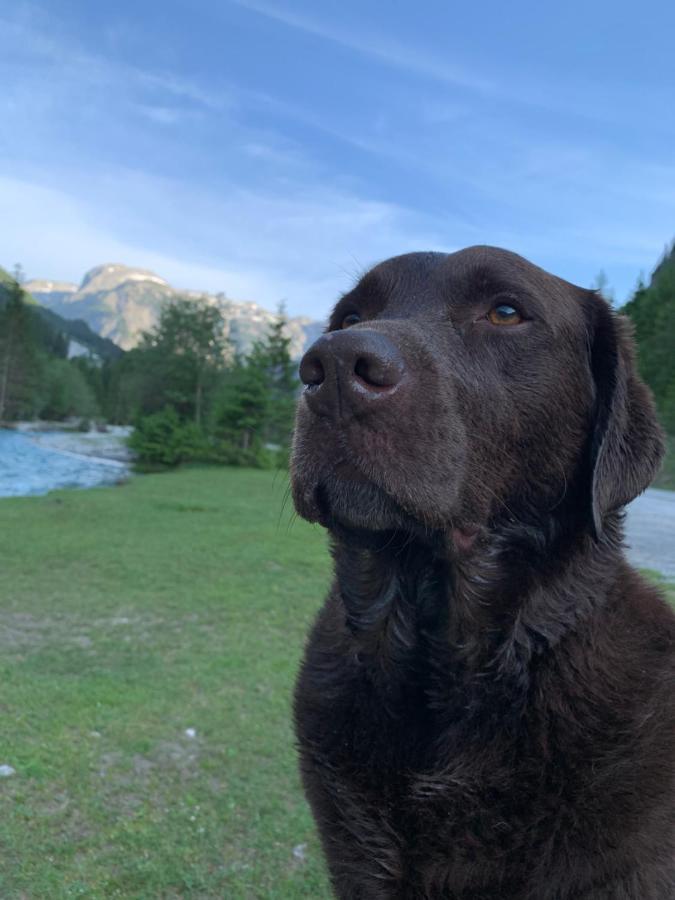 Haus Salzburgerland Hotel Altenmarkt im Pongau Luaran gambar